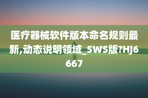 医疗器械软件版本命名规则最新,动态说明领域_SWS版?HJ6667