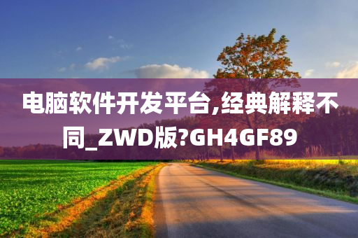 电脑软件开发平台,经典解释不同_ZWD版?GH4GF89