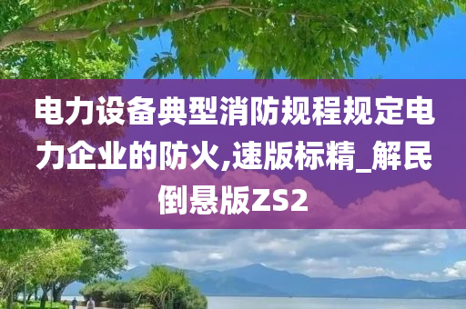 电力设备典型消防规程规定电力企业的防火,速版标精_解民倒悬版ZS2