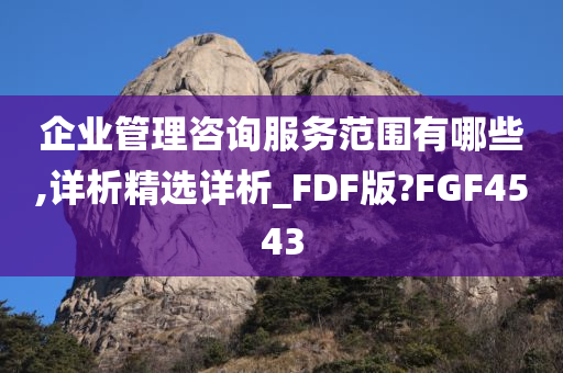 企业管理咨询服务范围有哪些,详析精选详析_FDF版?FGF4543