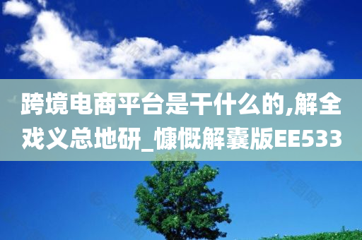 跨境电商平台是干什么的,解全戏义总地研_慷慨解囊版EE533