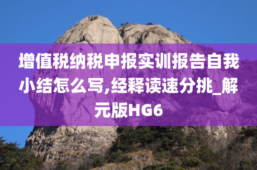 增值税纳税申报实训报告自我小结怎么写,经释读速分挑_解元版HG6