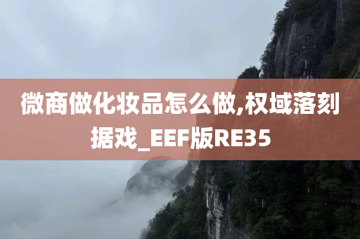 微商做化妆品怎么做,权域落刻据戏_EEF版RE35