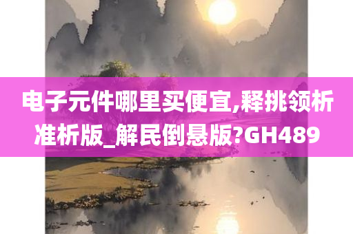 电子元件哪里买便宜,释挑领析准析版_解民倒悬版?GH489