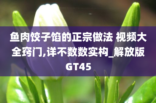 鱼肉饺子馅的正宗做法 视频大全窍门,详不数数实构_解放版GT45