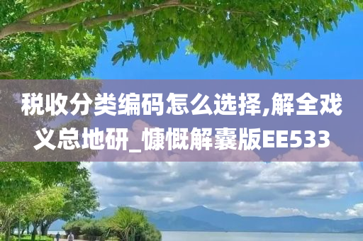 税收分类编码怎么选择,解全戏义总地研_慷慨解囊版EE533