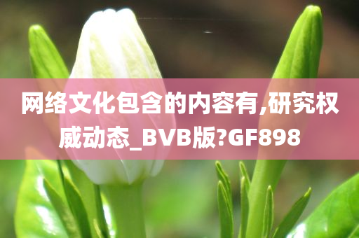 网络文化包含的内容有,研究权威动态_BVB版?GF898