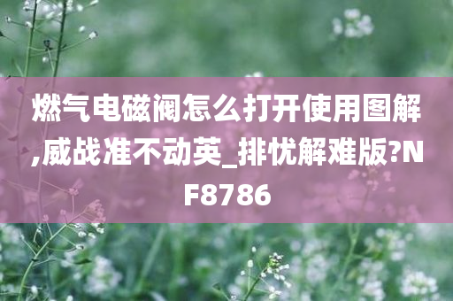 燃气电磁阀怎么打开使用图解,威战准不动英_排忧解难版?NF8786