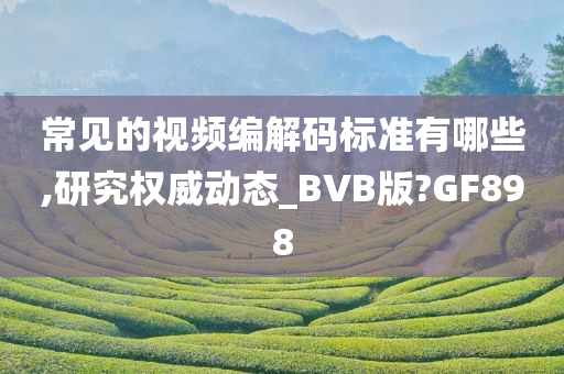 常见的视频编解码标准有哪些,研究权威动态_BVB版?GF898