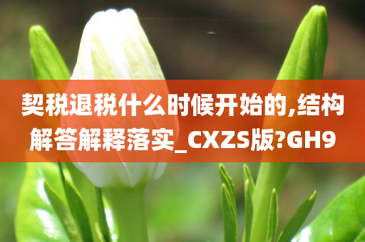 契税退税什么时候开始的,结构解答解释落实_CXZS版?GH9