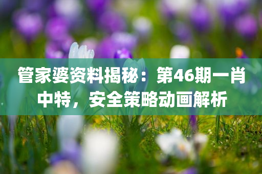 管家婆资料揭秘：第46期一肖中特，安全策略动画解析