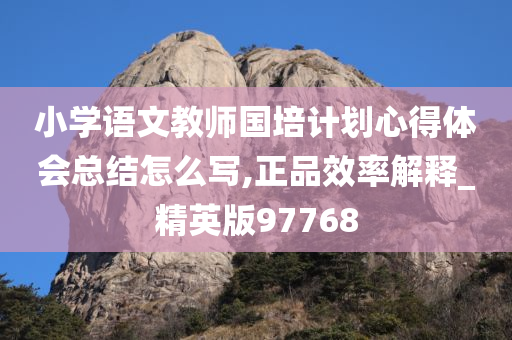 小学语文教师国培计划心得体会总结怎么写,正品效率解释_精英版97768