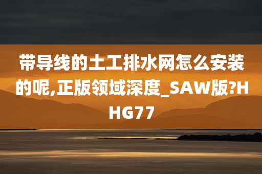 带导线的土工排水网怎么安装的呢,正版领域深度_SAW版?HHG77