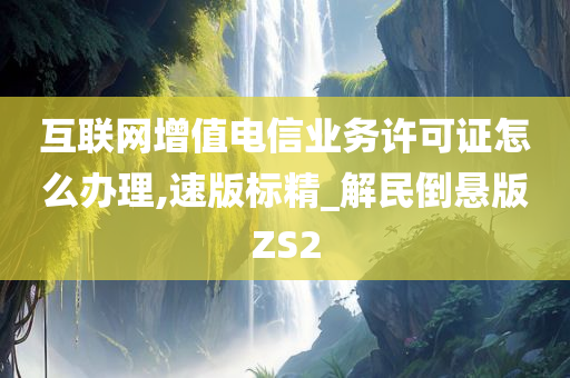 互联网增值电信业务许可证怎么办理,速版标精_解民倒悬版ZS2