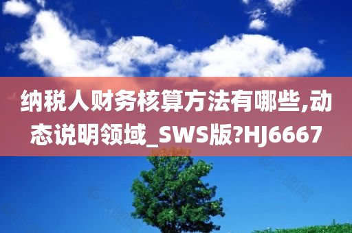 纳税人财务核算方法有哪些,动态说明领域_SWS版?HJ6667