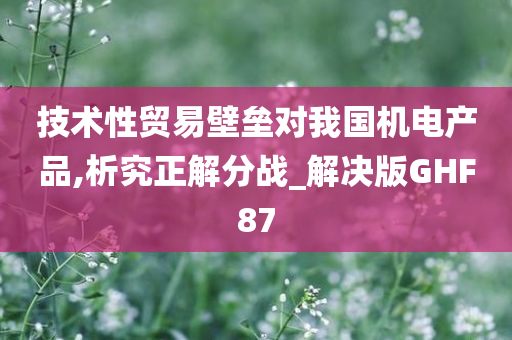 技术性贸易壁垒对我国机电产品,析究正解分战_解决版GHF87