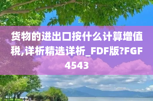 货物的进出口按什么计算增值税,详析精选详析_FDF版?FGF4543