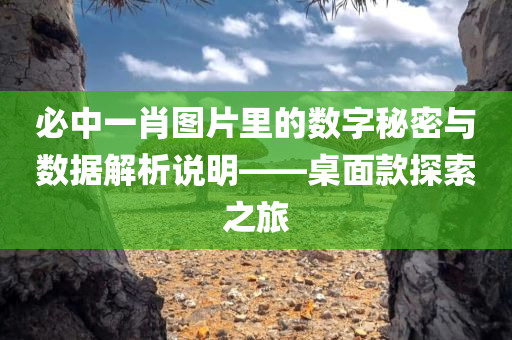 必中一肖图片里的数字秘密与数据解析说明——桌面款探索之旅