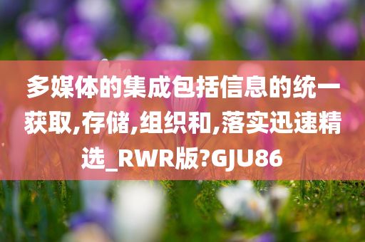 多媒体的集成包括信息的统一获取,存储,组织和,落实迅速精选_RWR版?GJU86