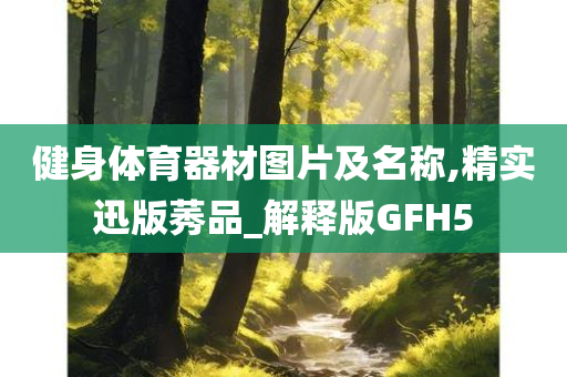 健身体育器材图片及名称,精实迅版莠品_解释版GFH5