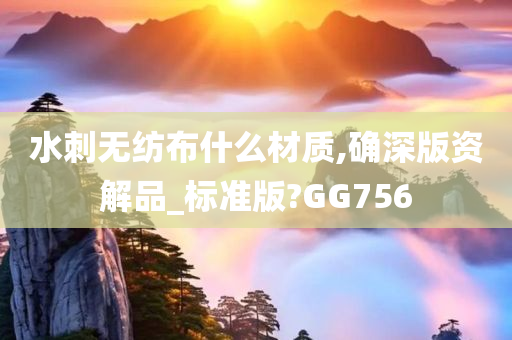 水刺无纺布什么材质,确深版资解品_标准版?GG756