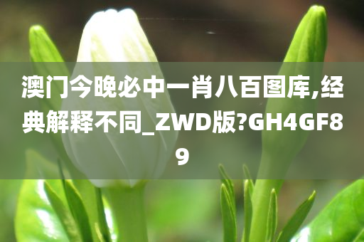 澳门今晚必中一肖八百图库,经典解释不同_ZWD版?GH4GF89