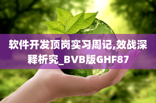 软件开发顶岗实习周记,效战深释析究_BVB版GHF87