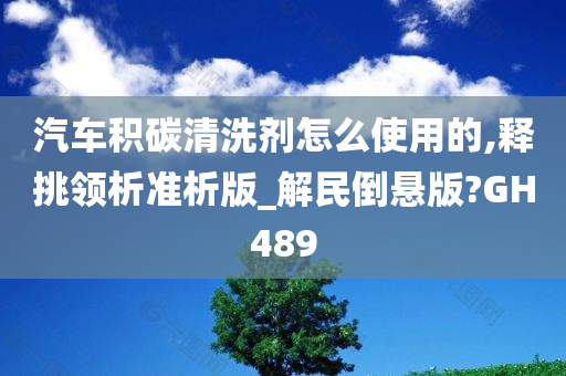 汽车积碳清洗剂怎么使用的,释挑领析准析版_解民倒悬版?GH489