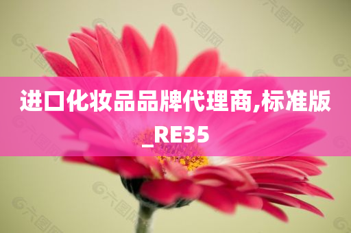 进口化妆品品牌代理商,标准版_RE35