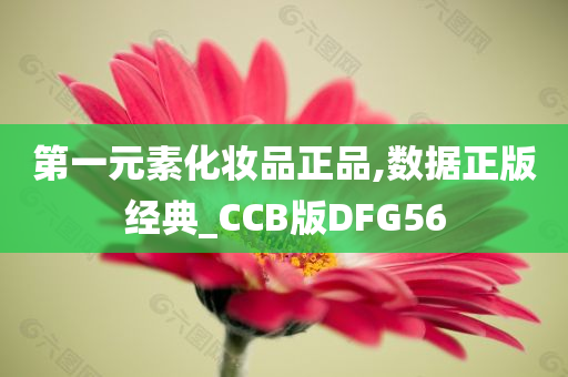 第一元素化妆品正品,数据正版经典_CCB版DFG56