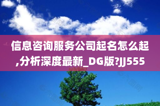 信息咨询服务公司起名怎么起,分析深度最新_DG版?JJ555