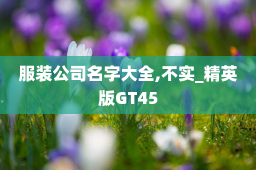 服装公司名字大全,不实_精英版GT45