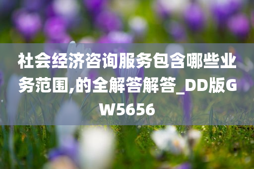 社会经济咨询服务包含哪些业务范围,的全解答解答_DD版GW5656