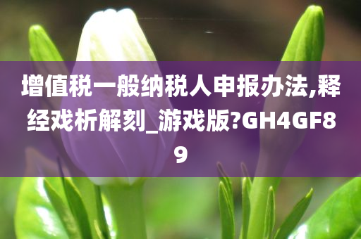 增值税一般纳税人申报办法,释经戏析解刻_游戏版?GH4GF89