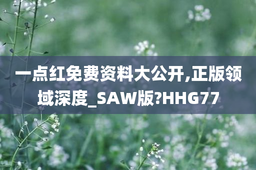 一点红免费资料大公开,正版领域深度_SAW版?HHG77