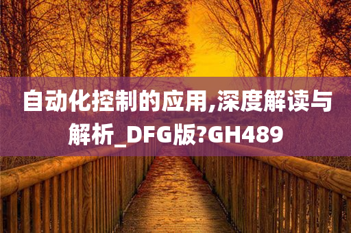 自动化控制的应用,深度解读与解析_DFG版?GH489