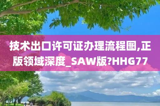 技术出口许可证办理流程图,正版领域深度_SAW版?HHG77