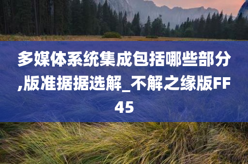 多媒体系统集成包括哪些部分,版准据据选解_不解之缘版FF45