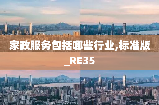 家政服务包括哪些行业,标准版_RE35