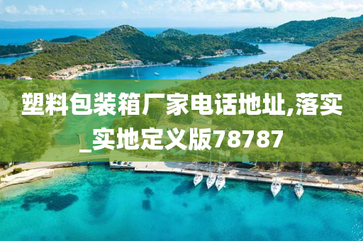 塑料包装箱厂家电话地址,落实_实地定义版78787