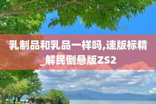 乳制品和乳品一样吗,速版标精_解民倒悬版ZS2