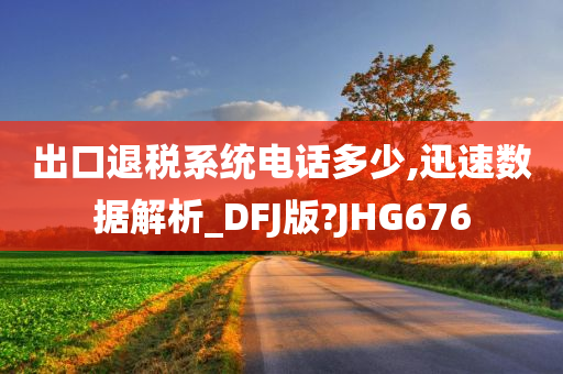 出口退税系统电话多少,迅速数据解析_DFJ版?JHG676