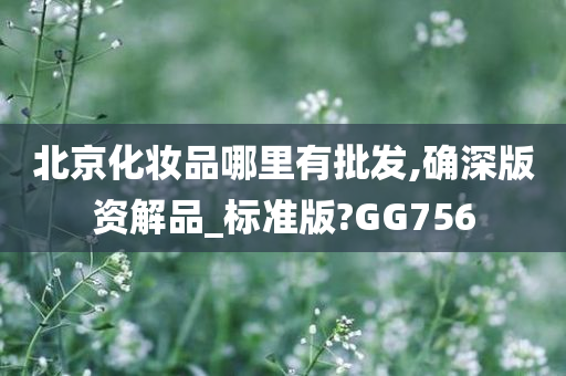 北京化妆品哪里有批发,确深版资解品_标准版?GG756