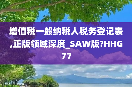 增值税一般纳税人税务登记表,正版领域深度_SAW版?HHG77