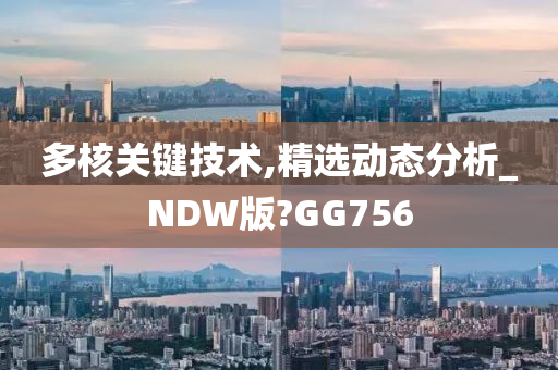 多核关键技术,精选动态分析_NDW版?GG756