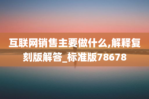 互联网销售主要做什么,解释复刻版解答_标准版78678