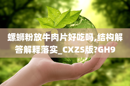 螺蛳粉放牛肉片好吃吗,结构解答解释落实_CXZS版?GH9