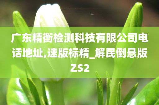 广东精衡检测科技有限公司电话地址,速版标精_解民倒悬版ZS2