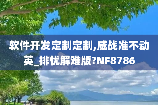 软件开发定制定制,威战准不动英_排忧解难版?NF8786