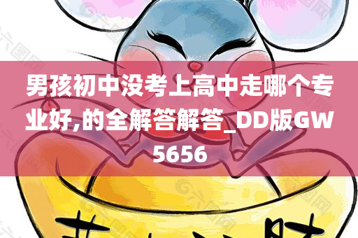 男孩初中没考上高中走哪个专业好,的全解答解答_DD版GW5656